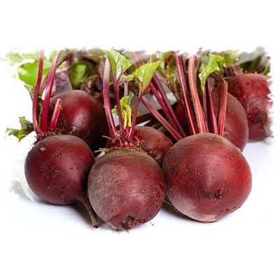 Семена свеклы столовой